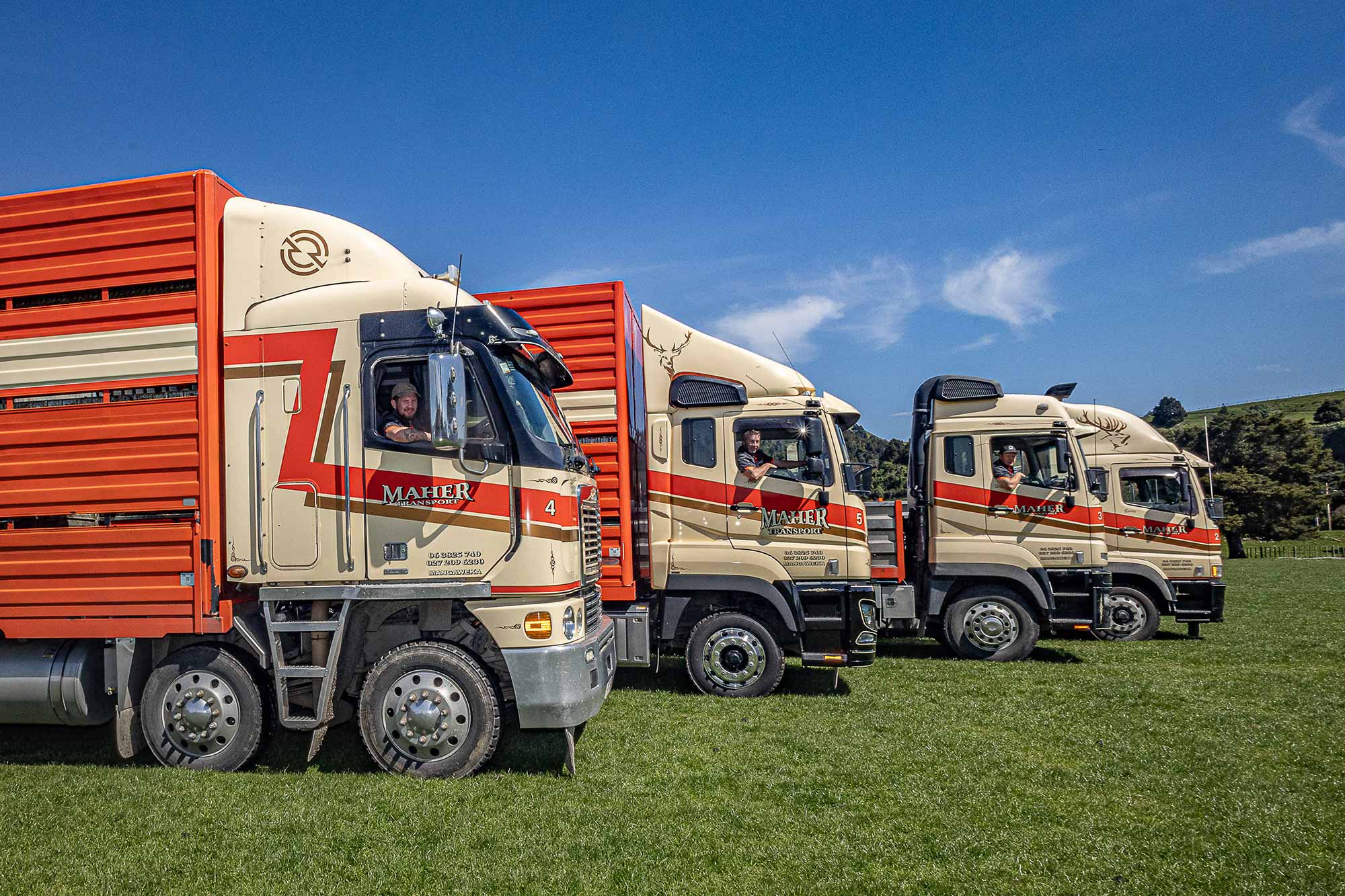 Maher Transport's FUSO Shogun 510 Trucks lined up 